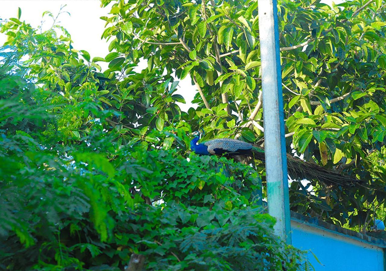 Birdsong Leisure Resort Tissamaharama Exterior photo